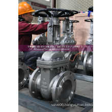 ANSI Gate Valve with Locked Design